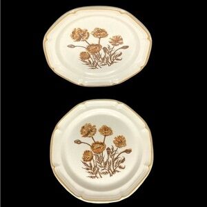 2 VTG Shenandoah Stoneware Bright Eyes by Jeannette Corp 10” Dinner Plates EUC